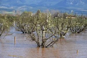 Manisa’da Sel ve Fırtına Sonrası Hasar Tespit Çalışmaları