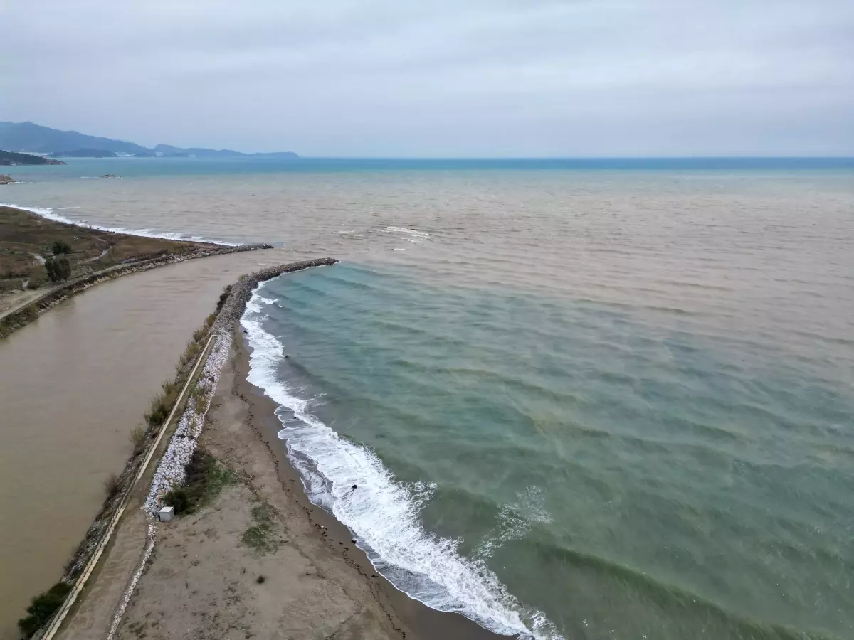 Mersin’de Akdeniz Kahverengiye Büründü