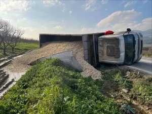 Mısır Yüklü Kamyon Devrildi, Sürücü Yaralandı