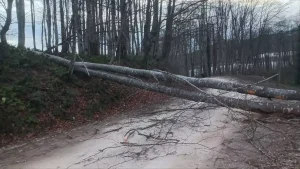 Ordu’da Fırtına 11 Evin Çatısını Uçurdu