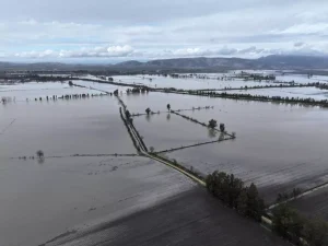 Osmaniye’de Sel Çalışmaları: 192 Araç, 759 Personel