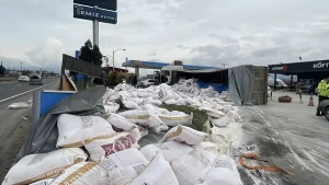 Pamukova’da Tır ile Otomobil Çarpıştı