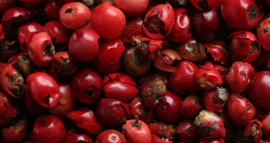 Portakal ya da mandalina değil bir avucu 20 kat C vitamini deposu