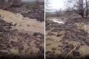 Sağanak yağış tarımı alt üst etti! Binlerce dönüm arazi sular altında