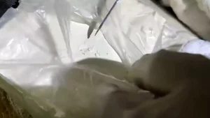 Sakarya’da Uyuşturucu Operasyonu: 1 Kilogram Kokain Ele Geçirildi