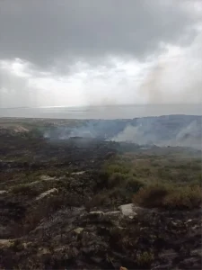 Samandağ’da Yangın Söndürüldü