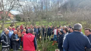 Samsun’da Fındık Yetiştiriciliği Toplantısı