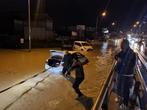 Sel Zeytin Ağacını Yol Üzerine Sürükledi
