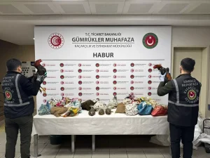 Silopi’de Yasa Dışı Keklik ve Horoz Ele Geçirildi