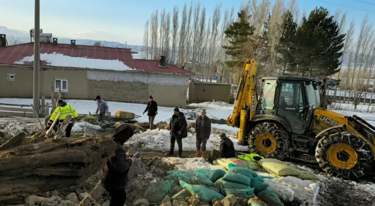 Sivas’ta Ağıldaki Koyunlar Kar Yüküyle Öldü