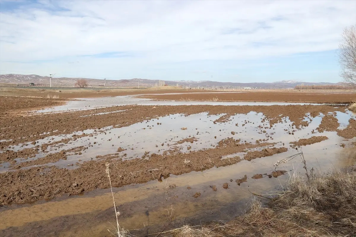 Sivas’ta Tarım Arazileri Su Altında Kaldı