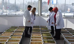 Soğuğa Dayanıklı Tohum Geliştirme Merkezi