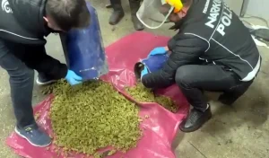 Tekirdağ’da 24.5 kg Uyuşturucu Ele Geçirildi