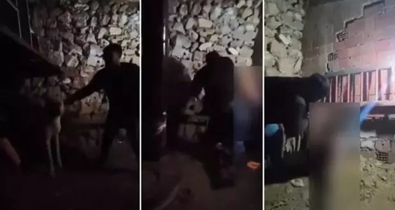 Tepkiye neden olmuştu: Ahırda işkenceye yeniden gözaltı