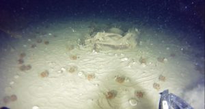 THY’nin 51 yıl önce düşen uçağının enkazından yeni parçalar bulundu