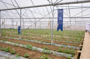 TİKA’dan Vietnam’a Sera Desteği