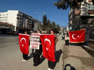 Tosya’da ‘Bayrak Sevgisi’ Etkinliği