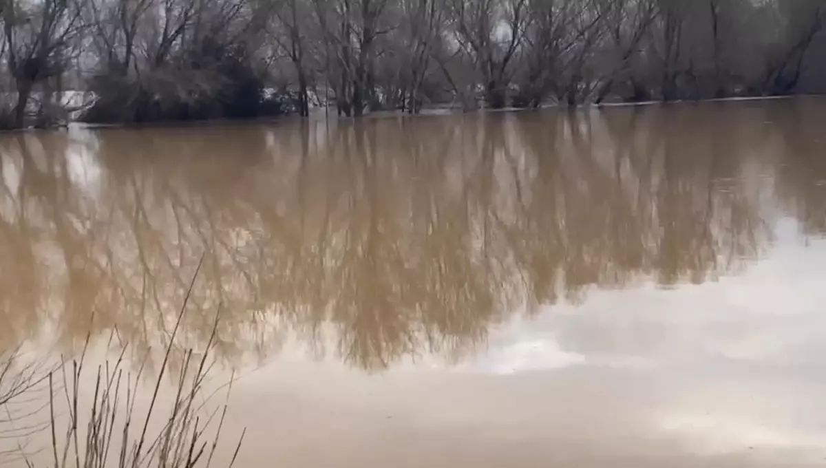 Turgutlu’da Taşkın: Irlamaz Çayı’nda Önlem Alındı