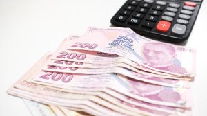 Türkiye ekonomisinin şubat ayında gündemi yoğun