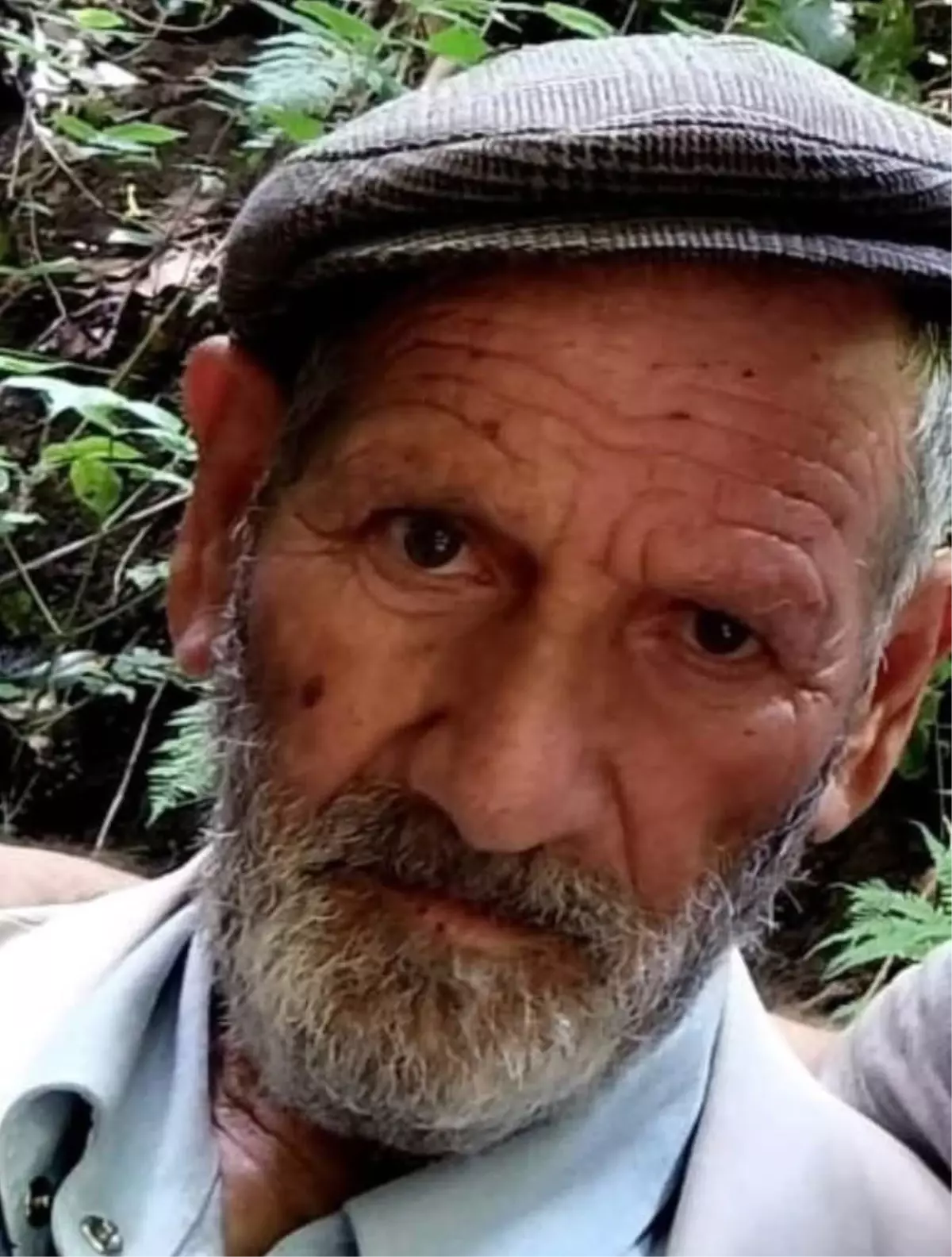 Ünye’de Otomobilin Çarptığı Yaşlı Adam Hayatını Kaybetti