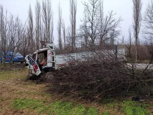 Uşak’ta Kamyon Ağaçlara Çarptı: 4 Yaralı