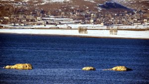 Van Gölü’nde geri çekilmeyle birlikte adacıklar oluştu