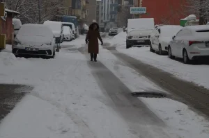 Van ve Muş’ta Kar Nedeniyle Yollar Kapandı