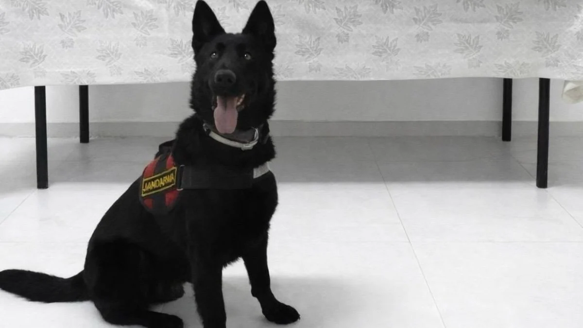 Van’da İranlı yolcu 510 gram eroin ile yakalandı