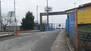 Yalova’da Deniz Yüzeyinde Kadın Cesedi Bulundu