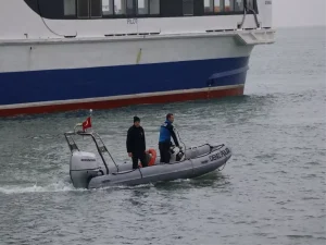 Yalova’da Kadın Cesedi Bulundu