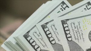 Yatırım araçlarında haftanın tek kazandıranı: Dolar