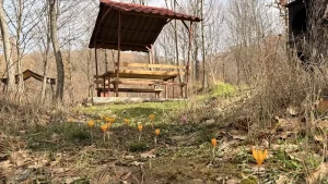 Yeşil Göl Bahara Hazırlanıyor