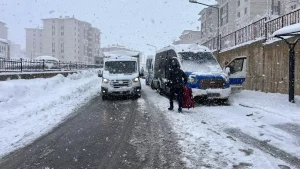 Yüksekova’da Kar Yağışı 7 Köy ve 21 Mezra Yolunu Kapattı