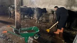 Yüksekova’da Sel Baskınları