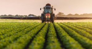 100 milyon lira sermayeli Türkiye’nin tarım devi battı