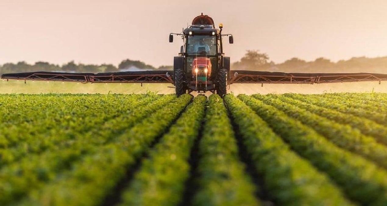 100 milyon lira sermayeli Türkiye’nin tarım devi battı