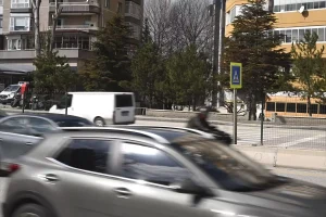 14 Yaşındaki Elif’in Ailesinden Adalet Talebi