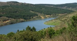 60 gün sonra susuz yaz başlayabilir: İstanbul’un barajları kırmızı alarm verdi