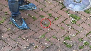 Antalya’da Butik İşletmecisine Silahlı Saldırı