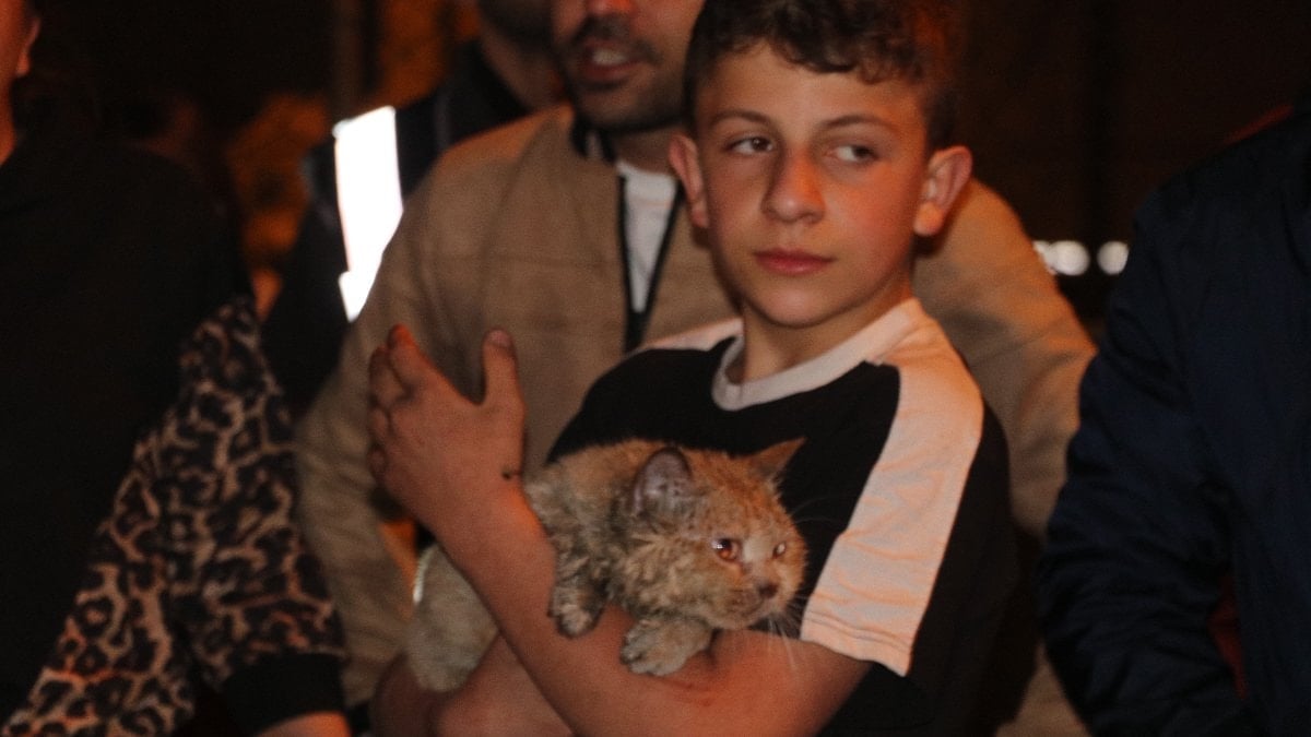 Antalya’da kedi ‘Duman’ evde çıkan yangında kurtarıldı