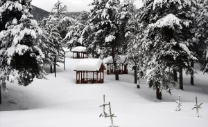 Ardahan ve Kars Beyaza Büründü