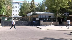 At düşmesi sonrası kalp krizi: Aile tazminat davası açtı