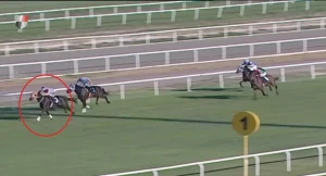 At Kavurması Skandalı: Ceza ve İddialar