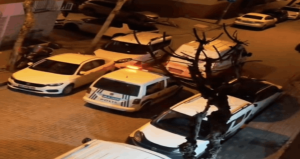 Bahçelievler’de kız arkadaşına giderken silahlı saldırıya uğradı