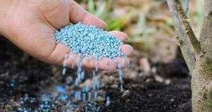 Bakanlık 81 ile yazı gönderdi! 10 yıl önce yasaklanan ürün tekrar satılacak