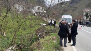 Başıboş sokak köpeği kazaya neden oldu: 1 ölü