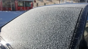 Başkale’de Don Olayı