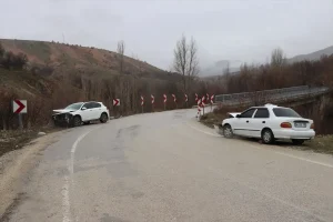 Baskil’de Trafik Kazası: 9 Yaralı