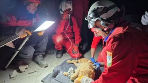 Betonda Mahsur Kalan ‘Paris’ Kurtarıldı