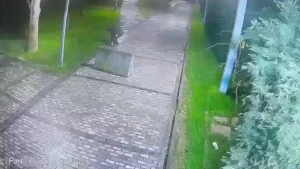 Beyoğlu’nda Hırsızlık: Şüpheli Tutuklandı